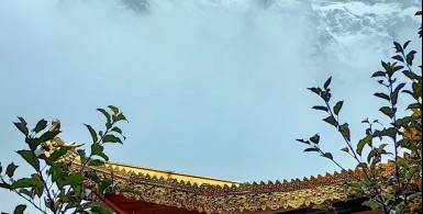真心是什么样子？
