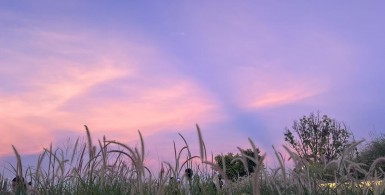 孔子为何重视孝道