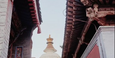 当力除奢华，须学质朴