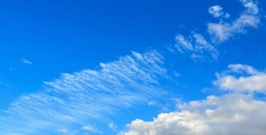 为什么舜能够无为而治？