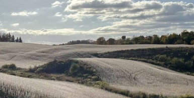 怎样才能体会到“四海之内皆兄弟”的感受？
