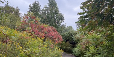 苦乐吉凶，皆自己罪福所感