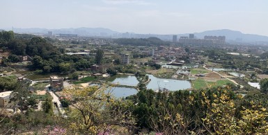 教儿教女先教己