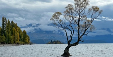 改过要发三种心，用这三种方法