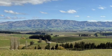 为什么说“君子远庖厨”?