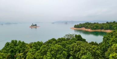 如何克服恶念妄念？